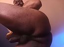xHump day!, foto 1181x886, 2 reacties, 4 stemmen