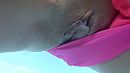 xx, foto 1280x720, 9 reacties, 45 stemmen