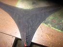 zaad string, foto 3072x2304, 5 reacties, 7 stemmen