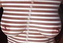 zebre, foto 1000x690, 5 reacties, 33 stemmen