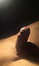zin om te spuiten, foto 644x1064, 0 reacties, 4 stemmen