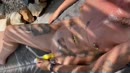 …, film 00:00:23, 20 reacties, 240 stemmen
