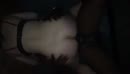 ...op vraag van velen, film 00:00:00, 17 reacties, 154 stemmen