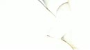 ., film 00:00:16, 4 reacties, 37 stemmen