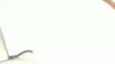 ., film 00:00:00, 5 reacties, 44 stemmen