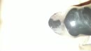 ., film 00:00:00, 11 reacties, 45 stemmen