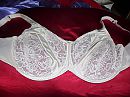 100G  te joop, foto 4000x3000, 1 reacties, 1 stemmen