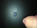 20 cm lang, film 00:00:09, 2 reacties, 13 stemmen