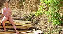 2019 - Bos hout en een stijve, foto 1617x889, 2 reacties, 3 stemmen