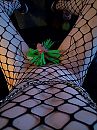 20 knijpers, foto 1096x1461, 1 reacties, 7 stemmen