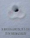 20cm, foto 962x1232, 4 reacties, 9 stemmen
