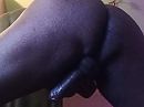 #hump day. xx, foto 1120x840, 1 reacties, 2 stemmen