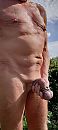 28 september, foto 1187x2631, 23 reacties, 70 stemmen