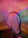 |, foto 1920x2560, 2 reacties, 14 stemmen