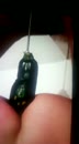 Alleen kijken met koptelefoon, film 00:00:00, 4 reacties, 12 stemmen