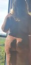 Archief, foto 568x1158, 5 reacties, 41 stemmen