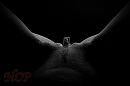 Artistic Pussy, foto 1400x933, 6 reacties, 42 stemmen