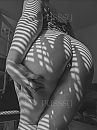 B/W #139., foto 1776x2367, 42 reacties, 197 stemmen