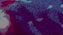 BFF GIF AMAZING BLOWJOBS, film 00:00:00, 1 reacties, 15 stemmen