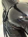 Back to black, foto 2316x3088, 25 reacties, 129 stemmen