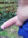 Ballen trekken zich terug met, foto 3000x4000, 2 reacties, 16 stemmen