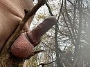 Ballenklem, foto 4000x3000, 1 reacties, 11 stemmen