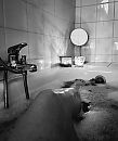 Bath time, foto 2634x3135, 32 reacties, 217 stemmen