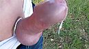 Beetje wazig, foto 2315x1296, 5 reacties, 19 stemmen