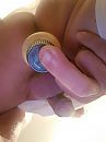 Bi sissy, foto 2448x3264, 17 reacties, 23 stemmen