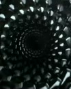 Bloot gewoon, film 00:00:00, 1 reacties, 25 stemmen