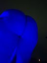 Blue moon, foto 3000x4000, 4 reacties, 17 stemmen