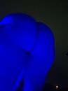 Blue moon, foto 3000x4000, 4 reacties, 18 stemmen