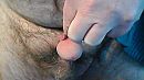 Bol ..., foto 640x360, 0 reacties, 0 stemmen