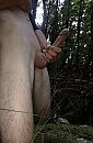 Bos 3, foto 2000x3045, 3 reacties, 10 stemmen