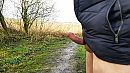 Boswandeling.., foto 4000x2250, 4 reacties, 20 stemmen