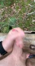 Boswandeling, film 00:00:19, 2 reacties, 15 stemmen