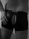 Boxer, foto 3000x4000, 10 reacties, 12 stemmen
