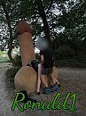Buiten gewoon, foto 768x1024, 19 reacties, 91 stemmen