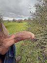 Buiten, foto 2448x3264, 7 reacties, 17 stemmen
