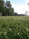 Bussloo., foto 3000x4000, 4 reacties, 13 stemmen
