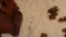 Buttplug, film 00:00:00, 0 reacties, 4 stemmen
