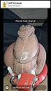 Cagedd, foto 750x1334, 4 reacties, 12 stemmen