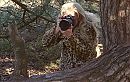 Camouflaged Lady Photographer, foto 667x425, 0 reacties, 2 stemmen