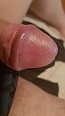 Close up eikel, foto 1440x2560, 1 reacties, 1 stemmen