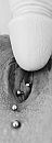 Close up.., foto 1164x3098, 64 reacties, 183 stemmen