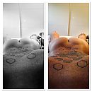 Color/Blak & white, foto 2048x2048, 0 reacties, 1 stemmen
