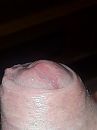 Creamy tip, foto 3000x4000, 0 reacties, 2 stemmen