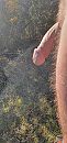 Deze morgen, foto 1892x4000, 4 reacties, 11 stemmen