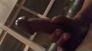 Dick, film 00:00:00, 0 reacties, 3 stemmen