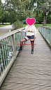 Dld, foto 2250x4000, 6 reacties, 105 stemmen